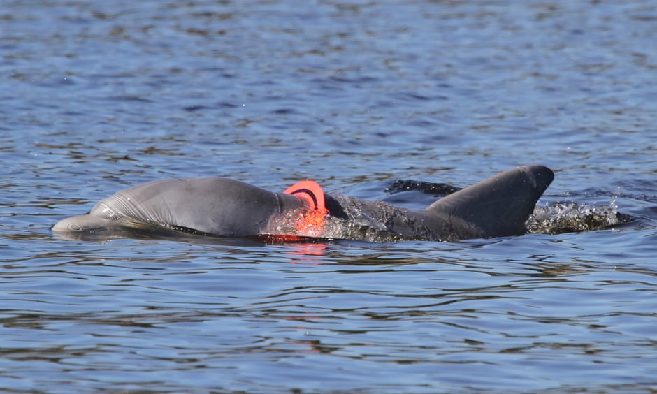 The world produce more than 380 million tons of plastic annually