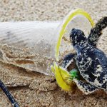 Rethink before using plastic