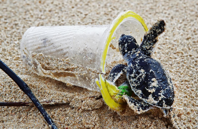 Rethink before using plastic