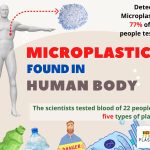 Microplastics were found in human body for the first time ever