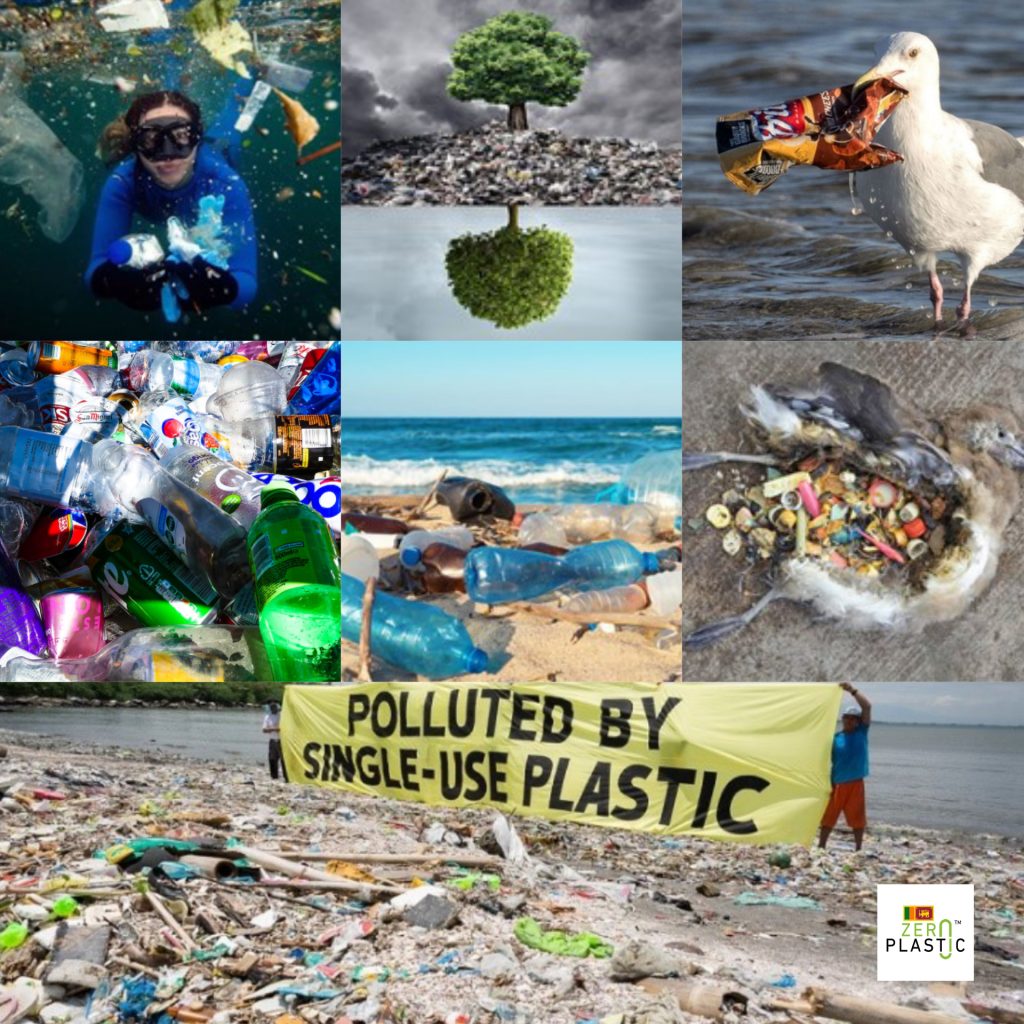 Plastic is also a threat to the ocean