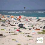 Plastic Pollution