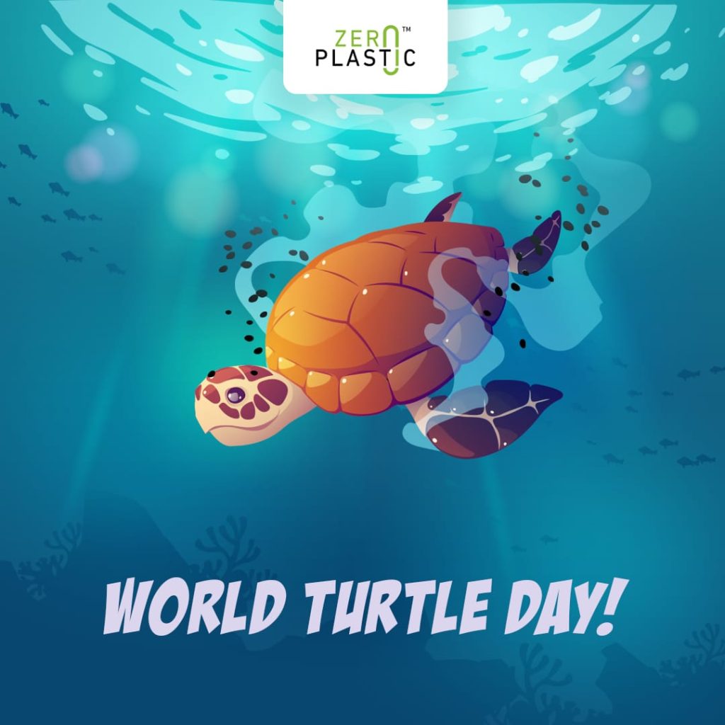 World Turtle Day