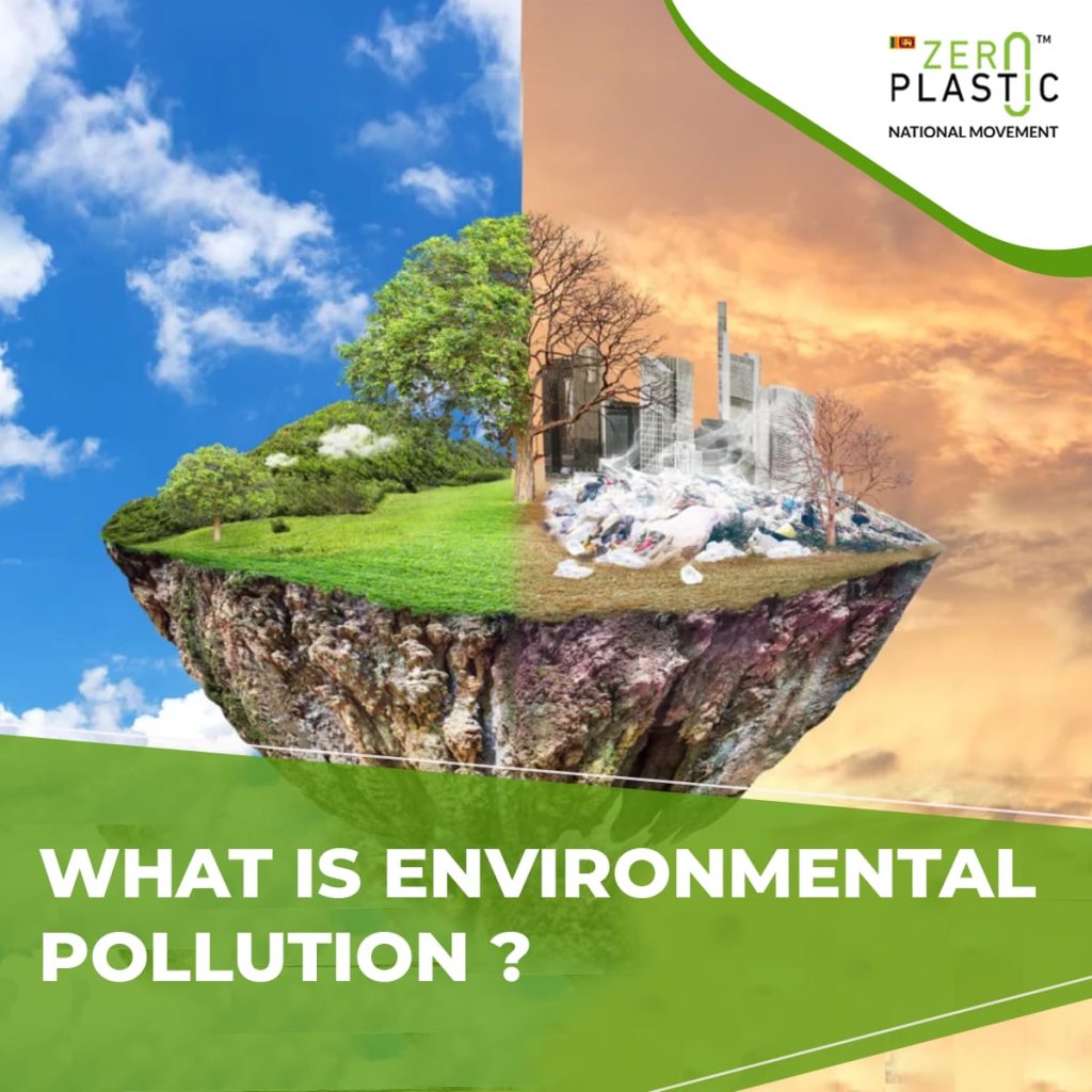 What Is Environmental Pollution?