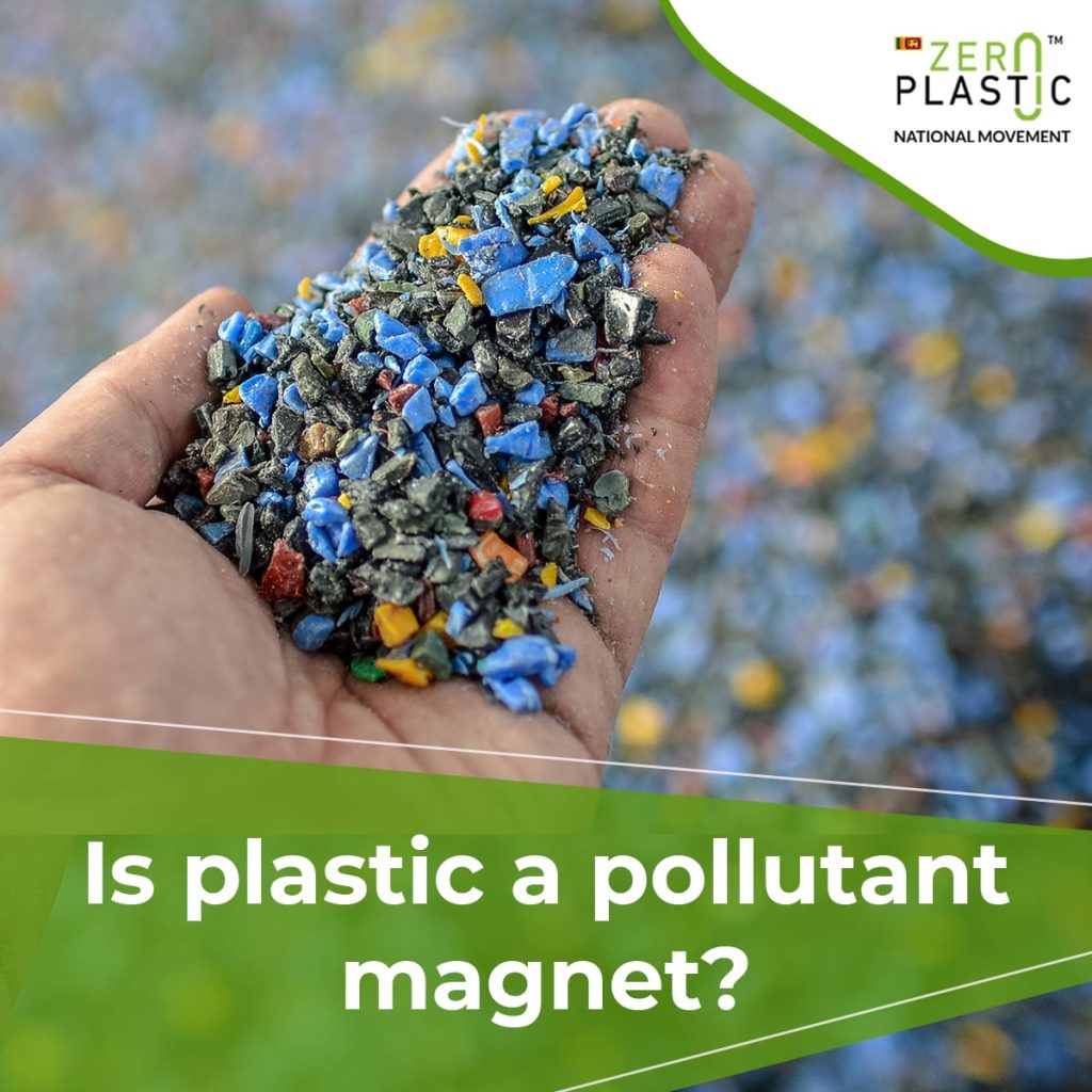 Is plastic a pollutant magnet?