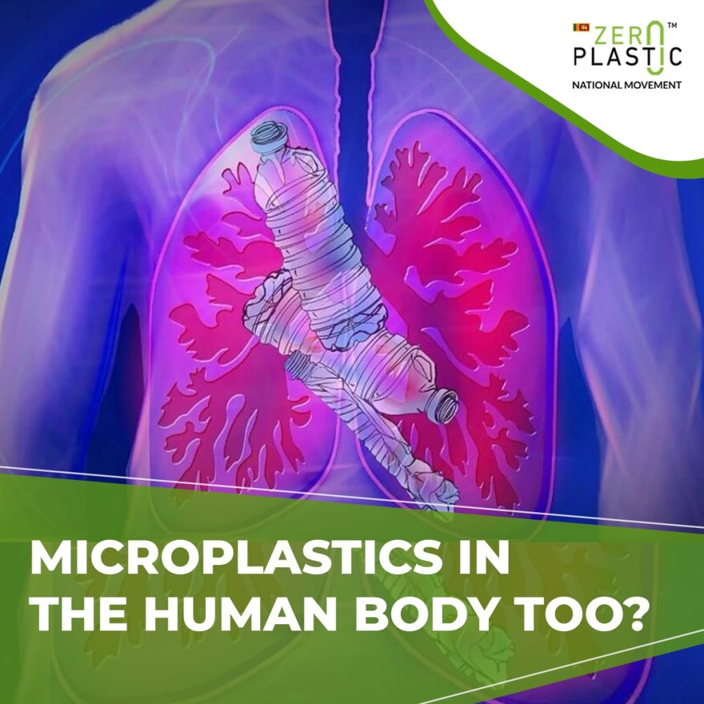 Microplastics in the human body too? 