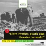 Plastic Plague: The Silent Killer