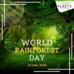 World forest day