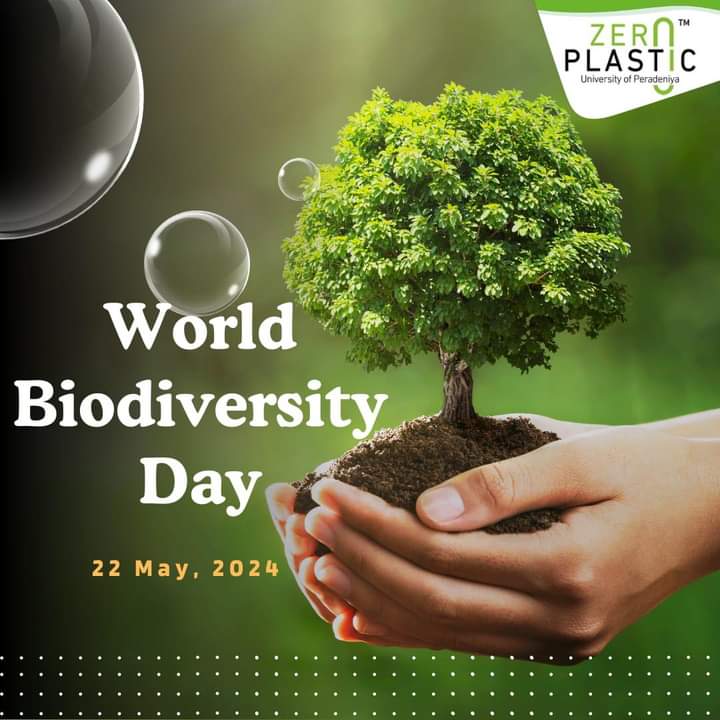 World biodiversity day