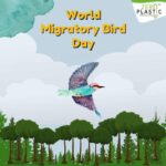 World Migratory Bird Day