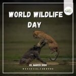 World wildlife day