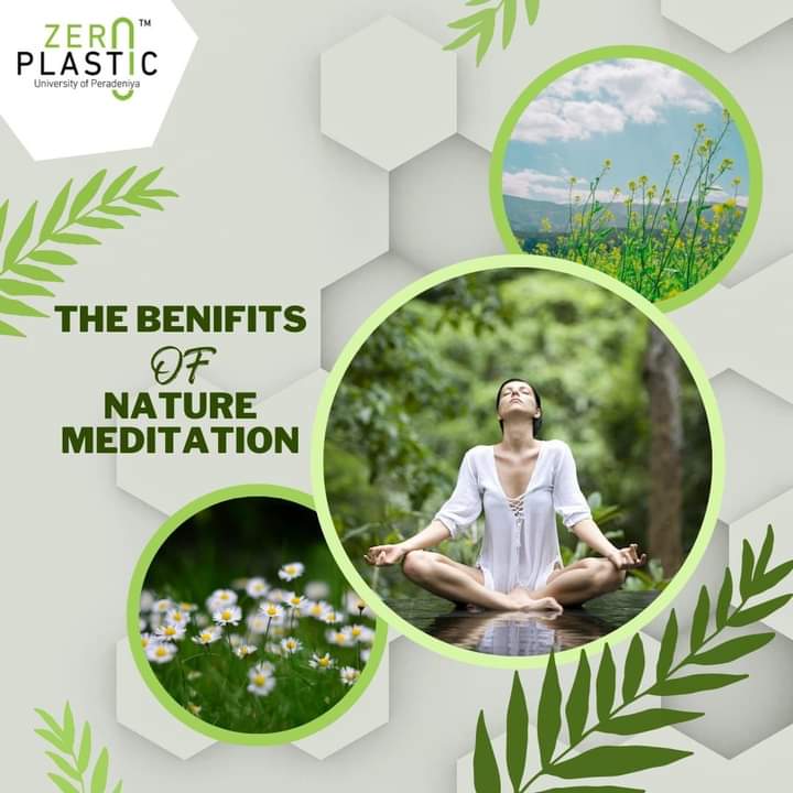 The benefits of Nature Meditation