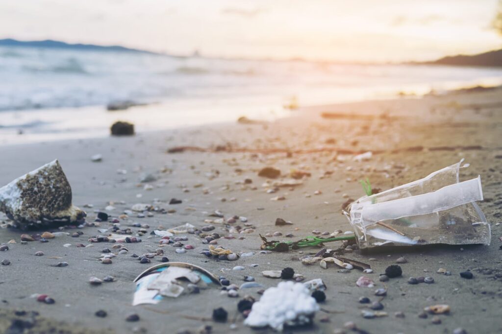 The Ocean’s Struggle: Combating the Infiltration of Plastic Pollution