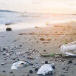 The Ocean’s Struggle: Combating the Infiltration of Plastic Pollution