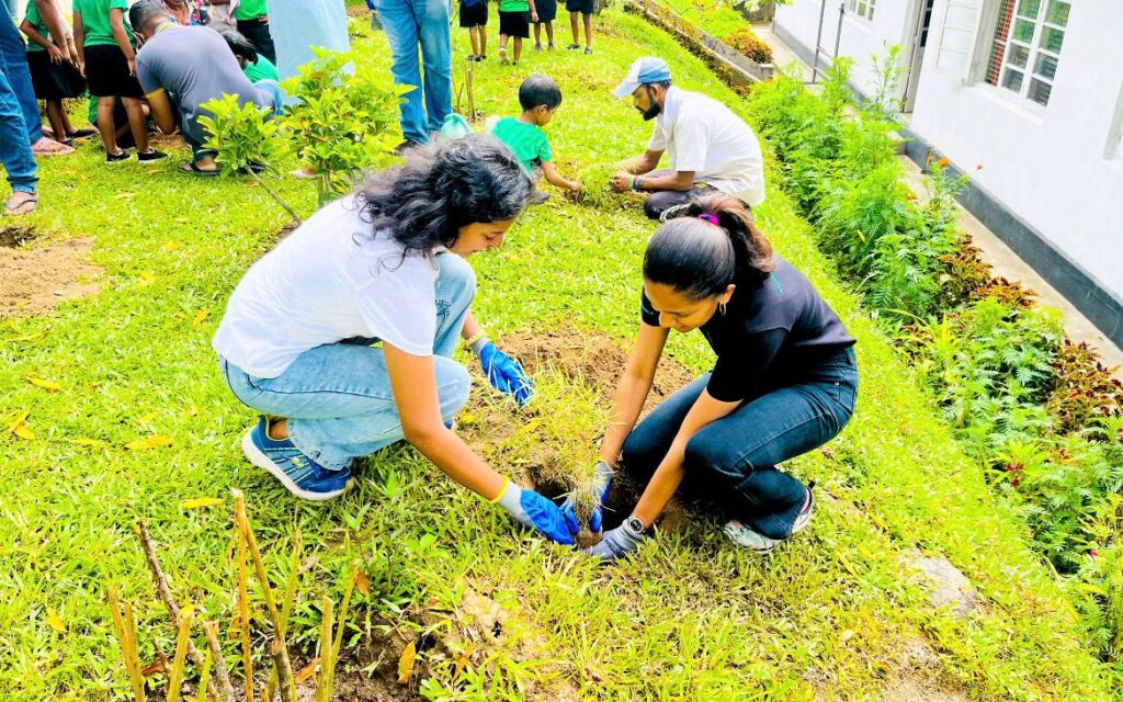 Green Bloom Flourishes: A Triumph for Environmental Sustainability