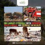 Sri Lanka’s Struggle with Improper Waste Disposal and its Impact on Wildlife