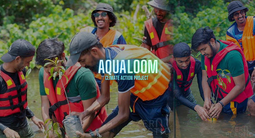 Project Aqualoom Leads Successful Cleanup and Mangrove Reforestation in Madu River, Balapitiya