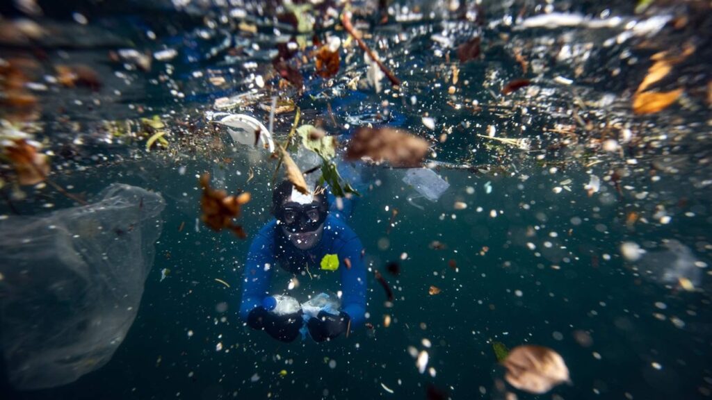 MicroPlastics and Marine Life