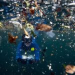 MicroPlastics and Marine Life